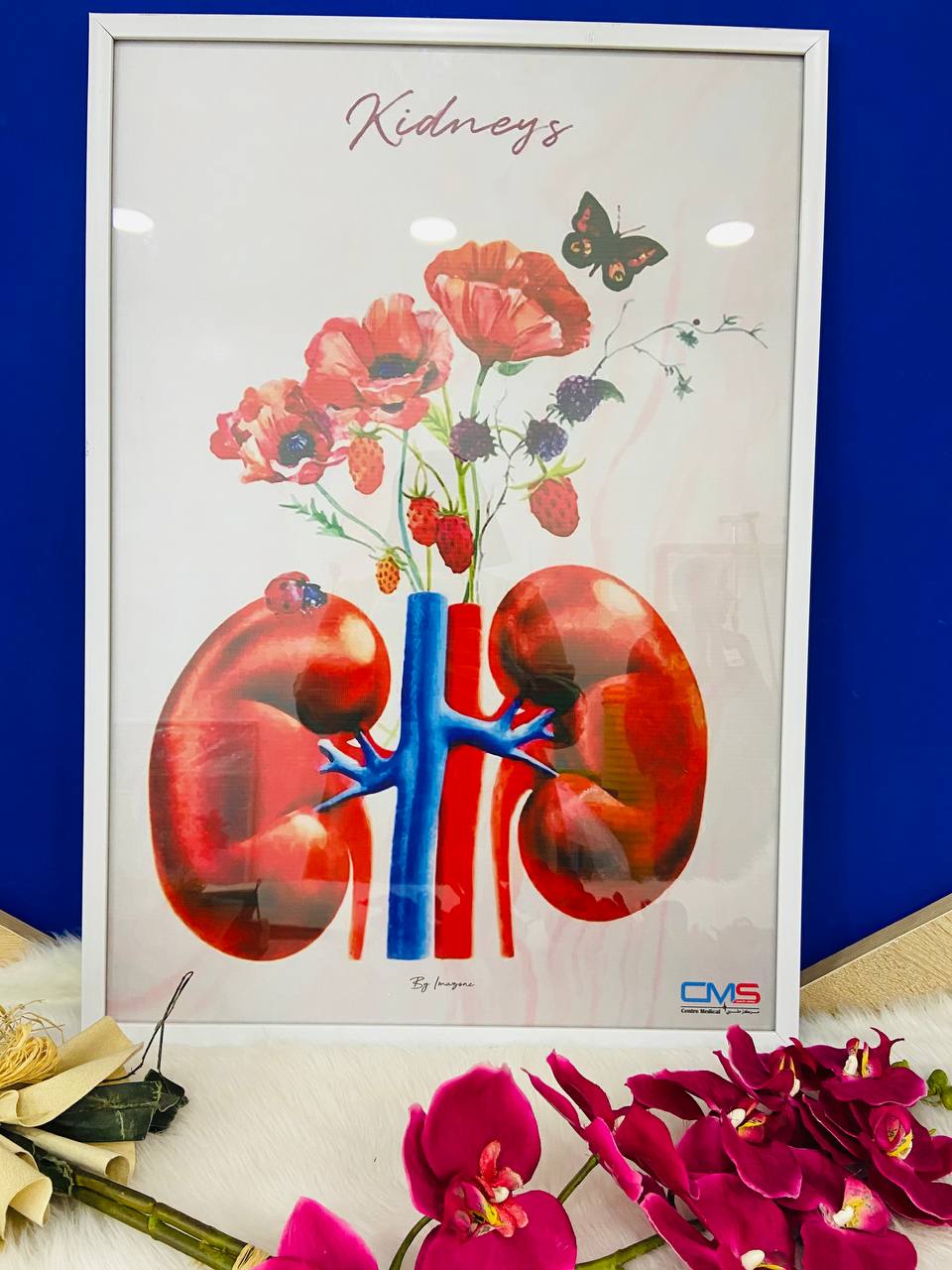 Tableau thème urologie 