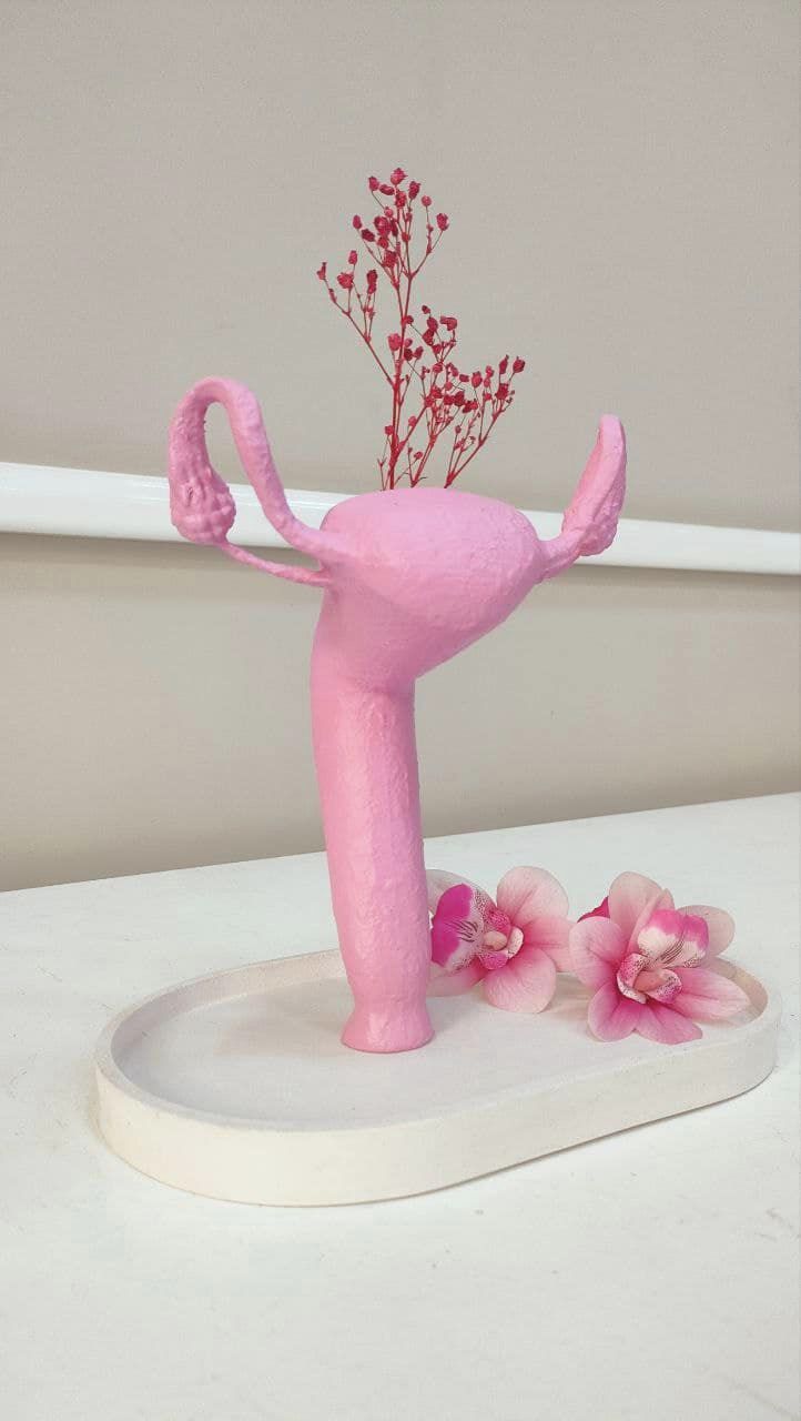 Vase Utérus