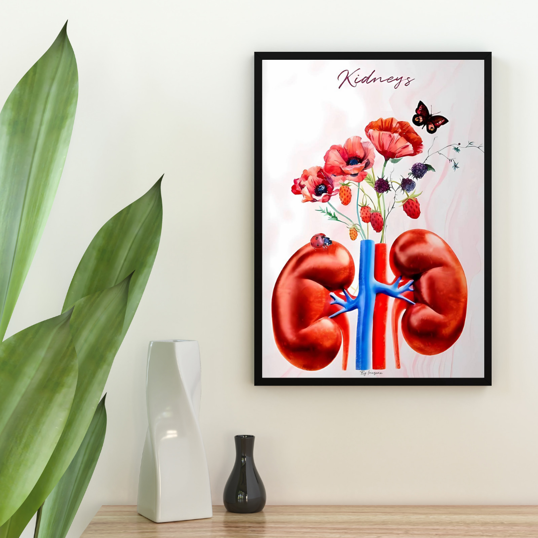 Tableau Thème urologie