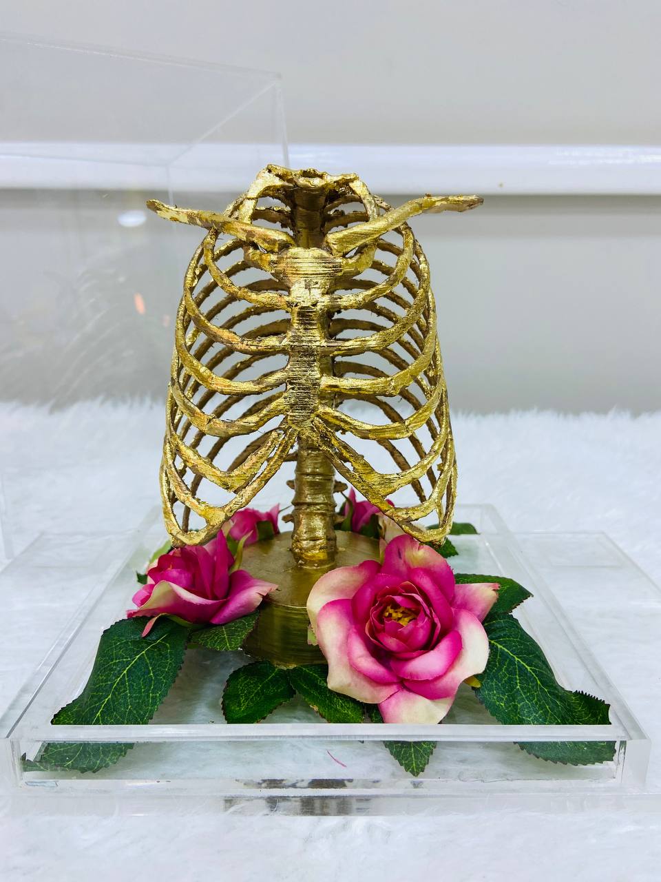 Maquettes 3D de la cage thoracique 