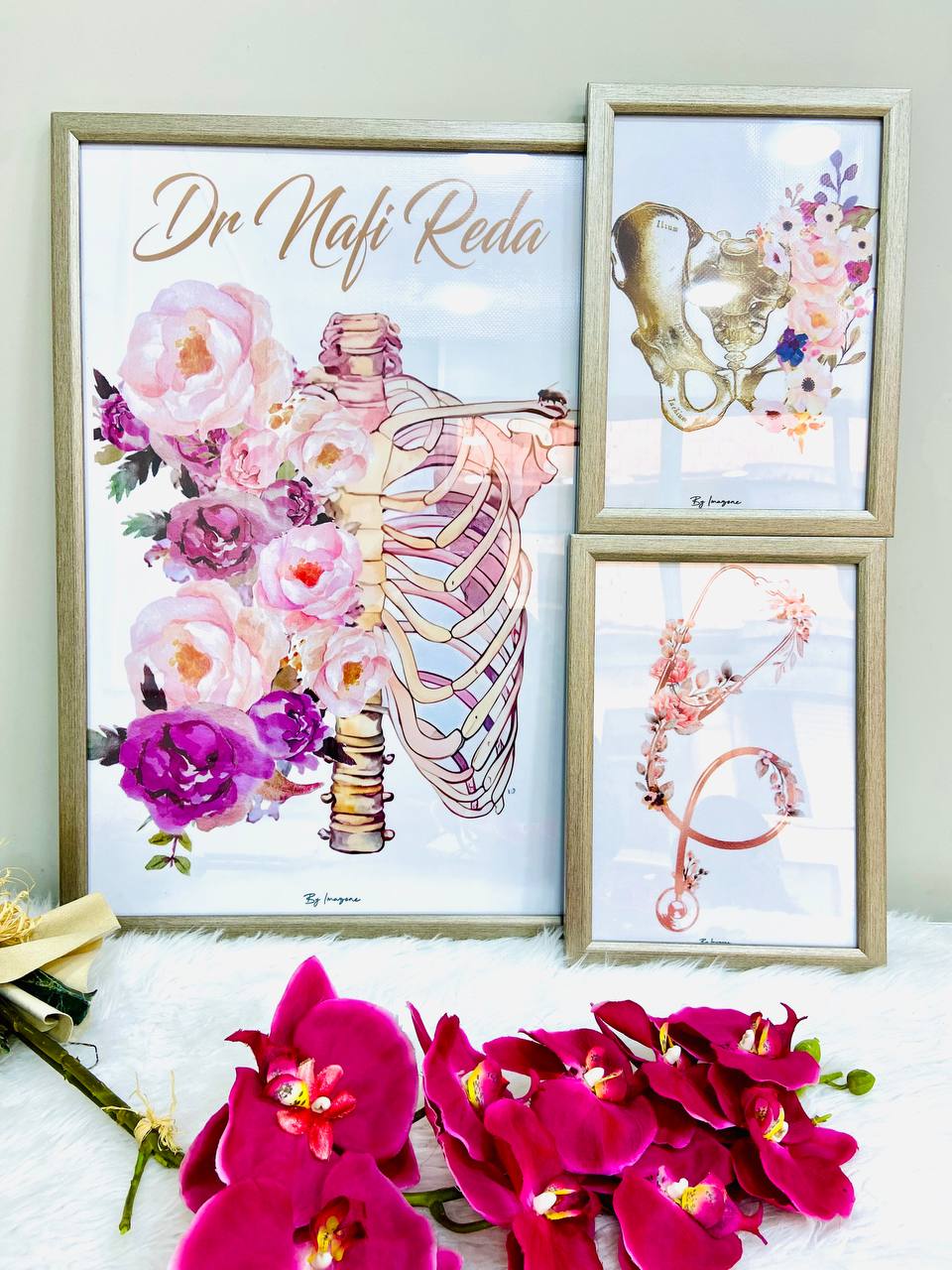 Série de 3 tableaux thème traumatologie orthopédie  